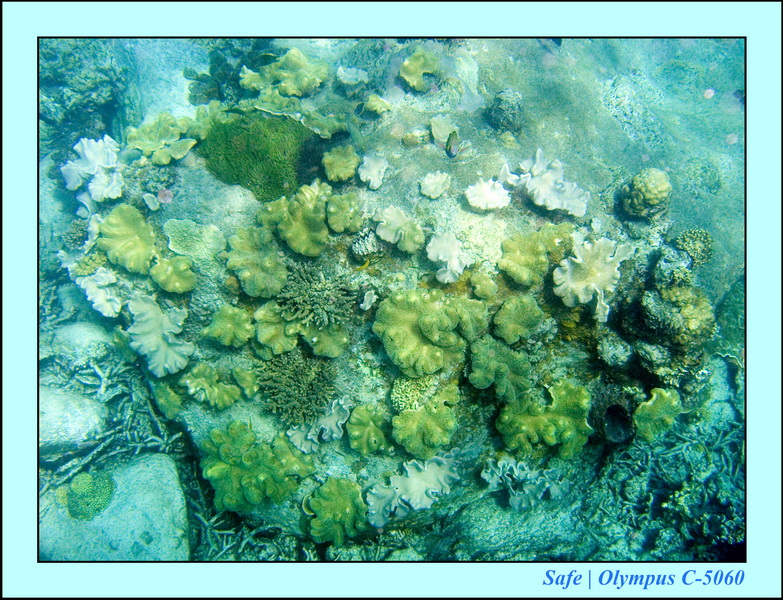 2008 - 07 - Leng Tengah - 082